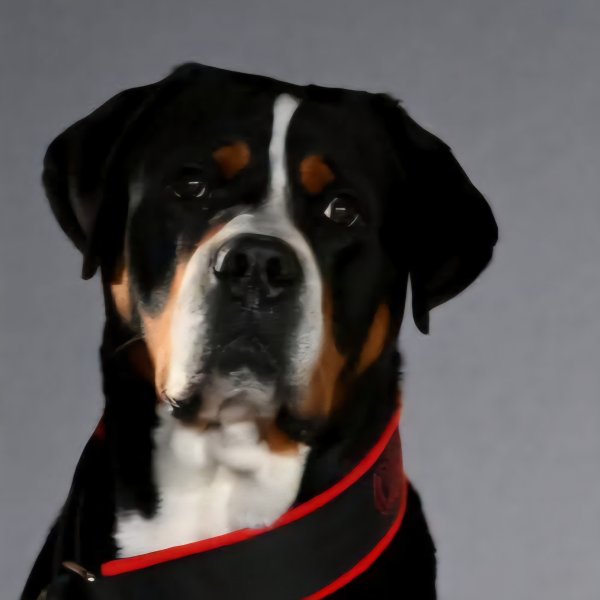 Image of Obie